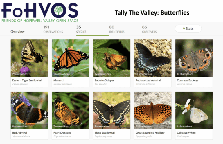 Wolff: Help Tally the Valley