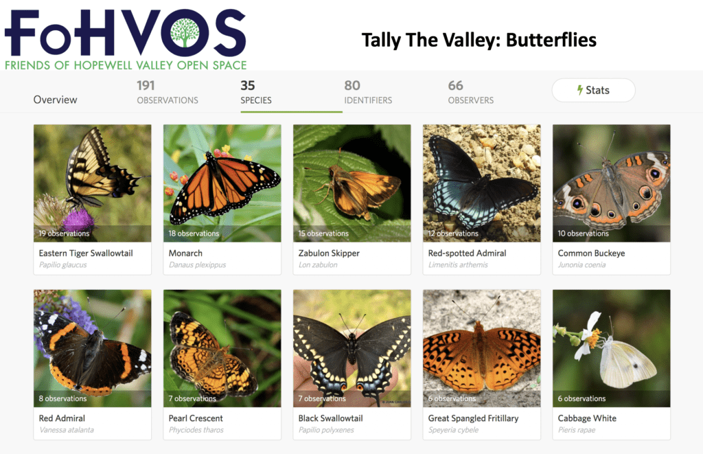 excerpt of butterfly guide