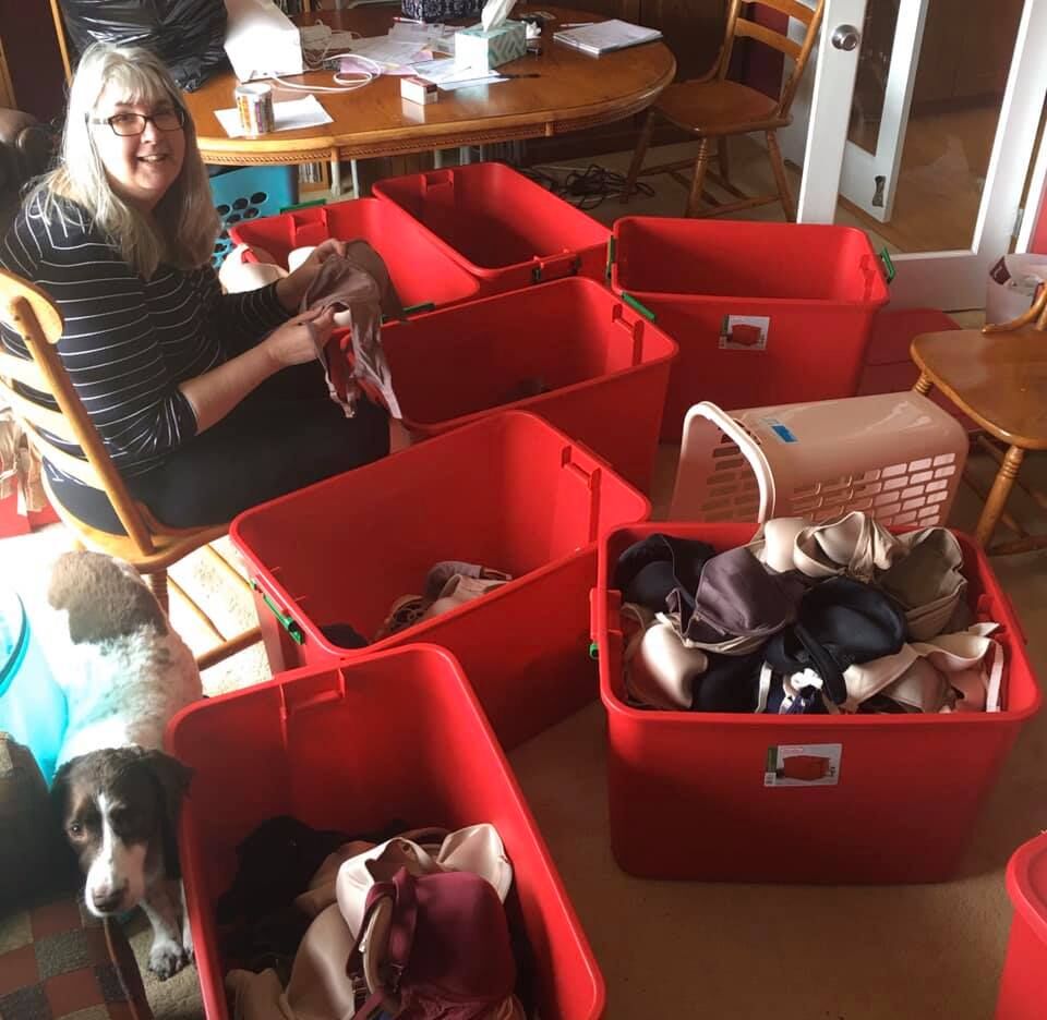 90622404_1236738113195117_6300423320483397632_n