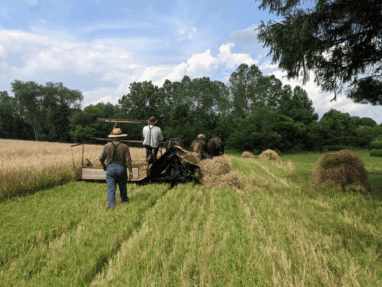 Hopewell farm donates food to ‘Share the Harvest’ with the community