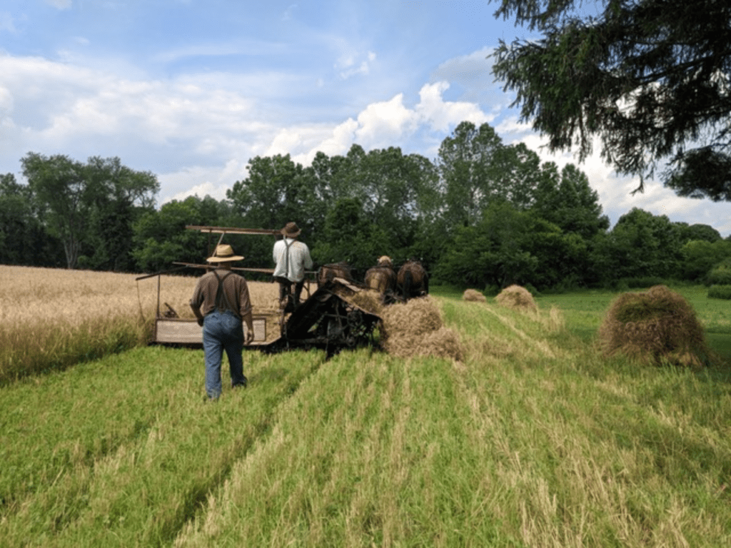 SharetheHarvest-7.27.20