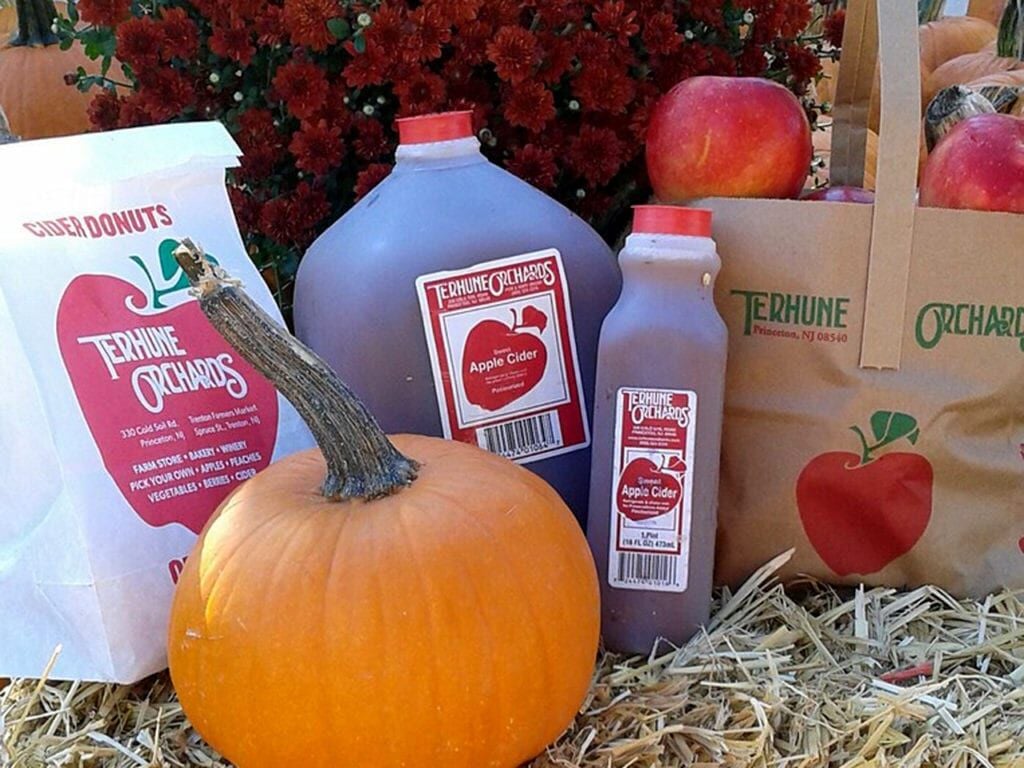 Terhune fall cider donut apple