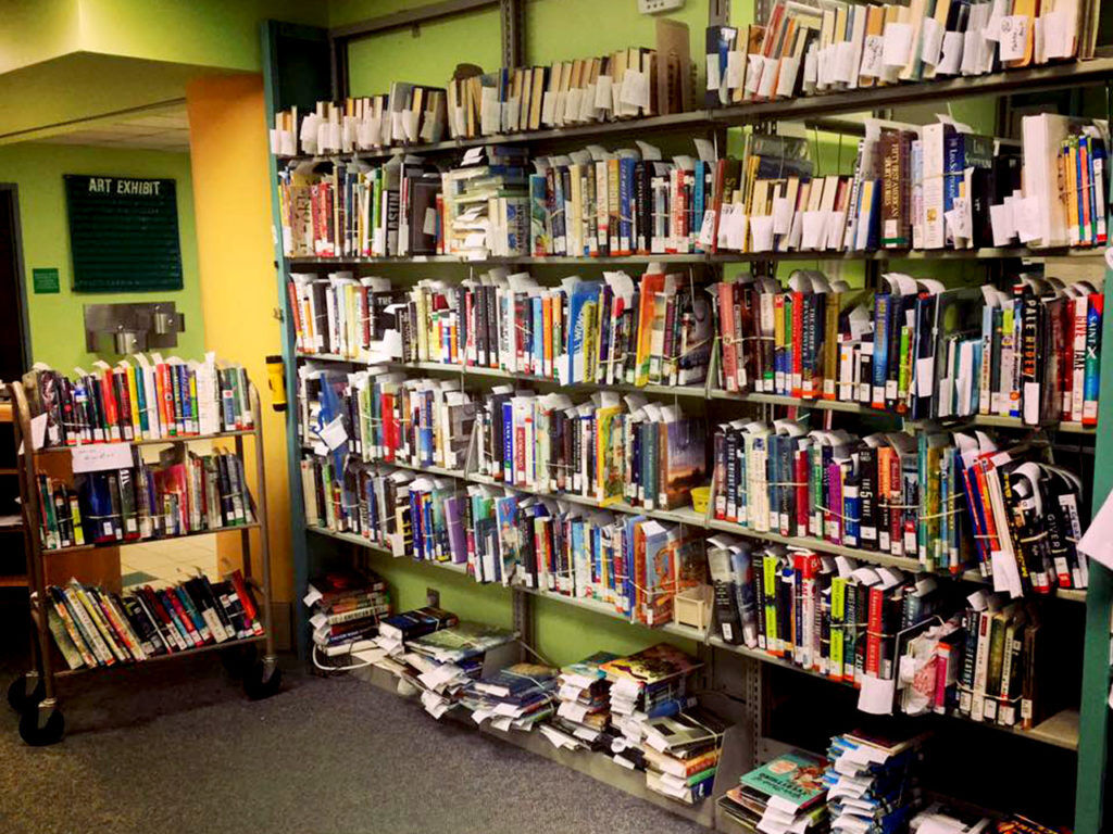 Mercer County Library Hopewell