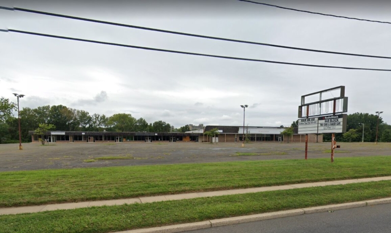 Hamilton council approves township’s purchase of Whitehorse Plaza