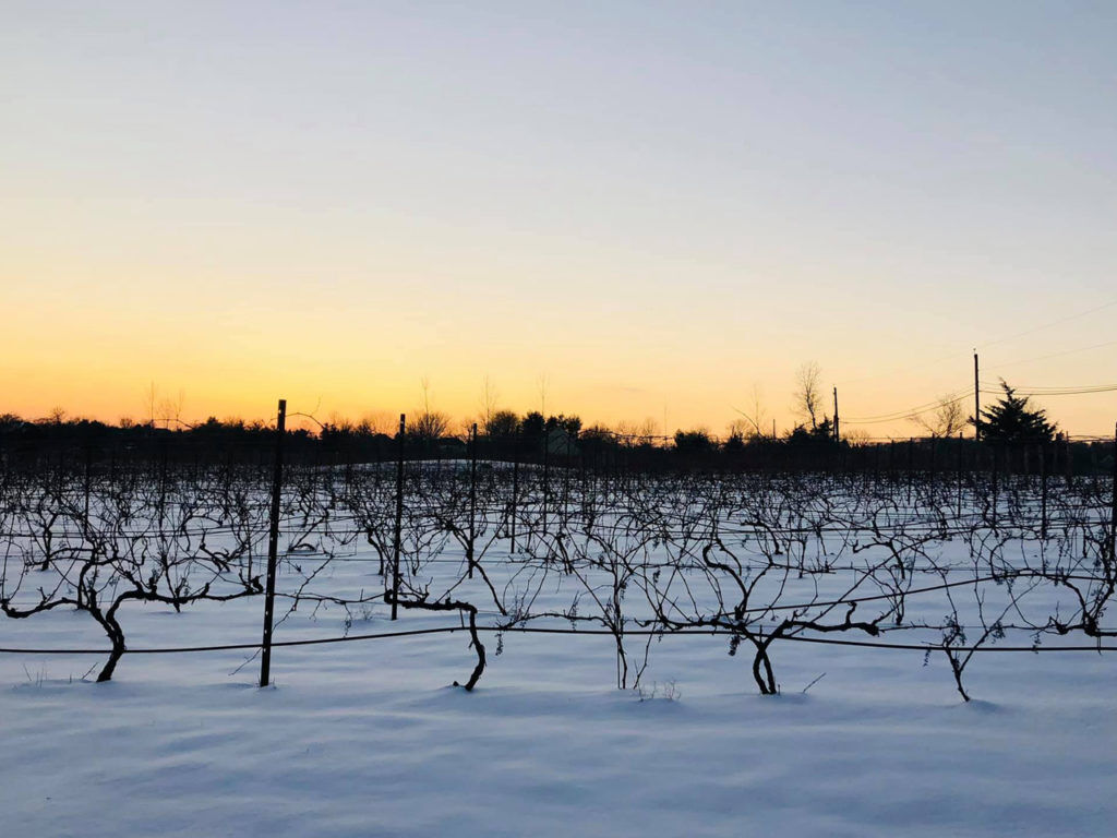 Hopewell Valley Vineyards