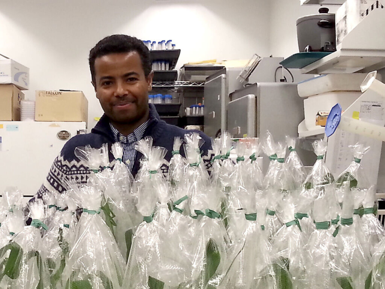 TCNJ biologist gets $1 million grant for corn research project