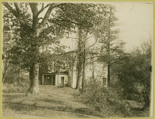 Kiovsky: The bird man of Point Breeze