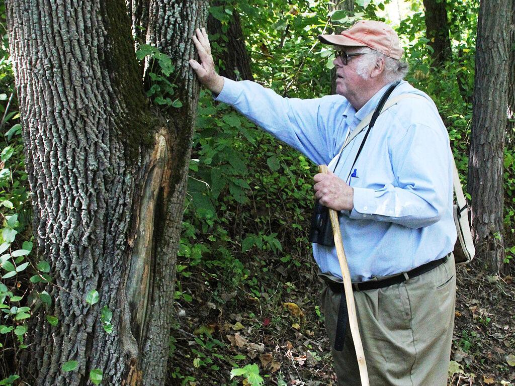 Charlie Leck_Chas_violet4x6