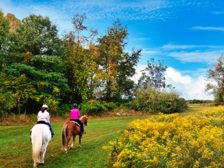 Mercer County Stables offers outdoor programs and more