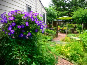 Trenton cultural and city life blooms in June