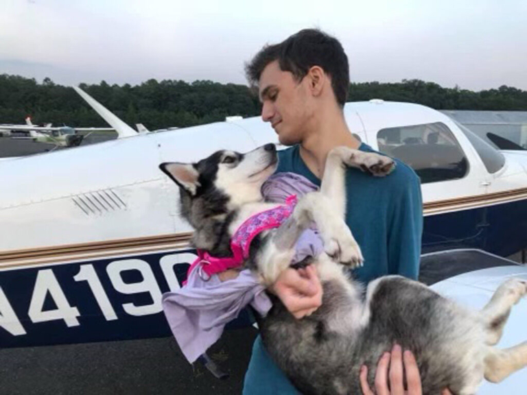 Code3 helps paralyzed husky get to fur-ever home 1,200 miles away