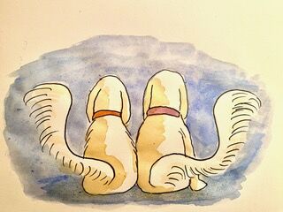 Pia dog column by Charlotte.jpg