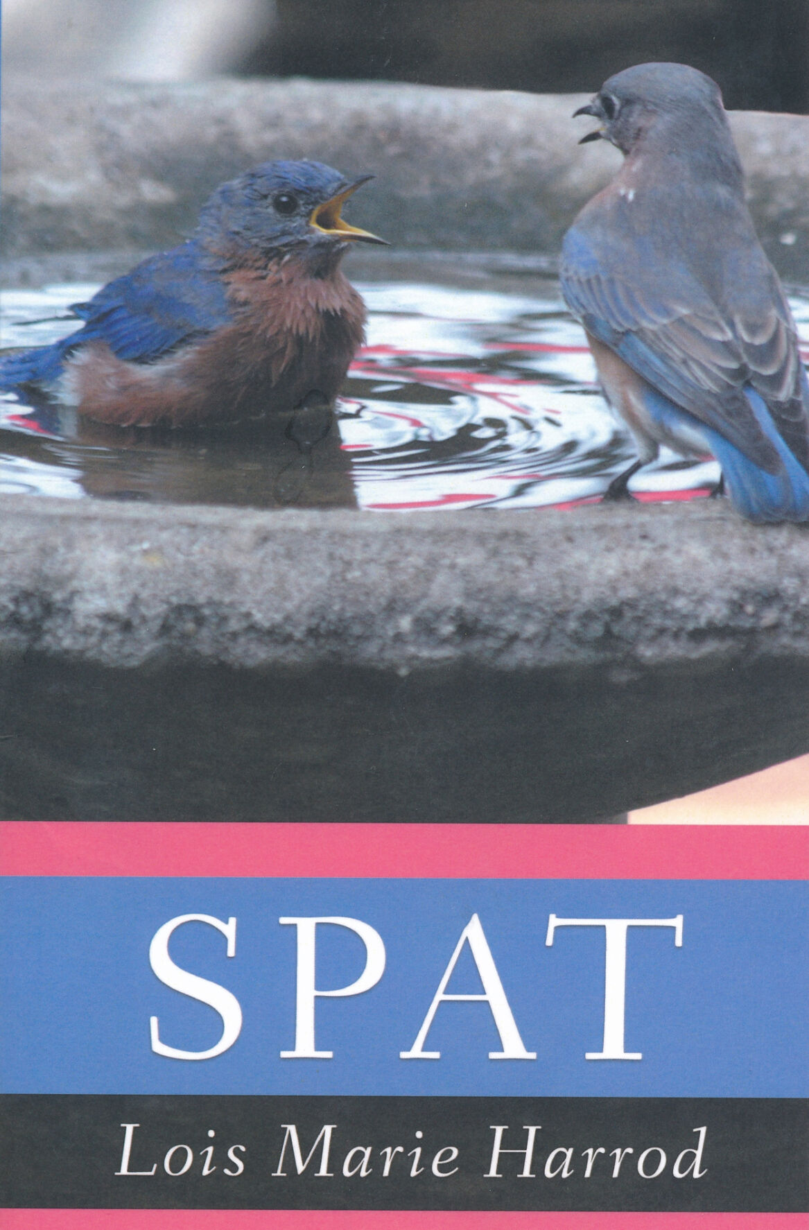 SPAT Cover.jpg