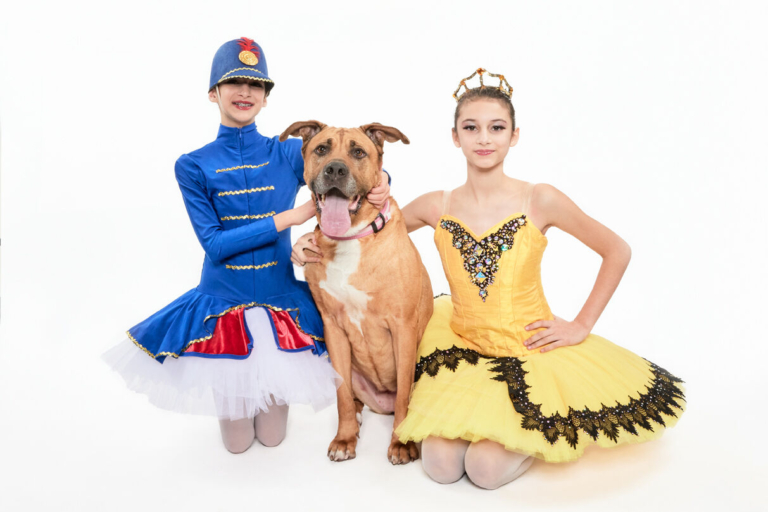 ‘Nutcracker’ set to return to CNJ Ballet stage after year’s absence
