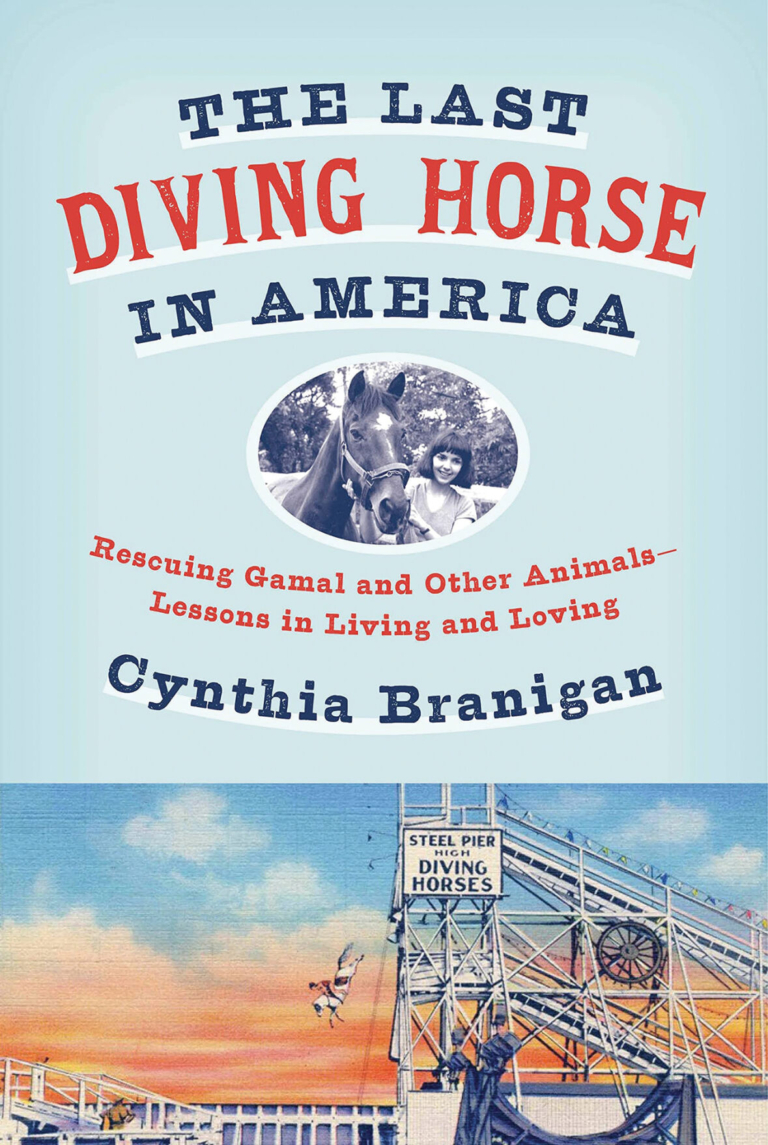Lawrence native recounts relationship with diving horse Gamal in new book
