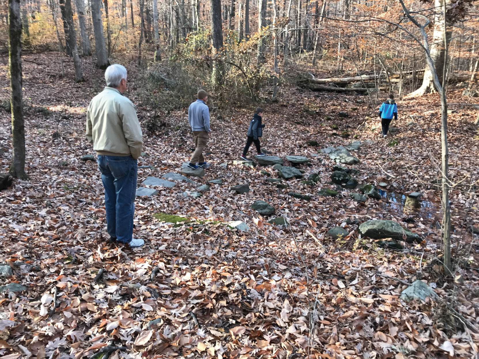 Herrontown stepping stones.jpg