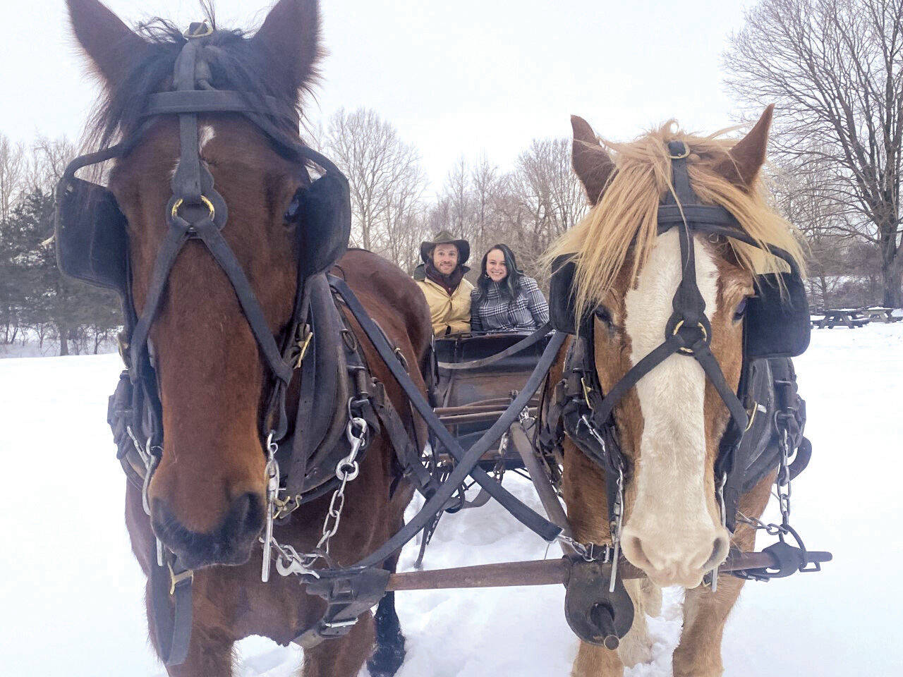 howell farm sleigh rides.jpg