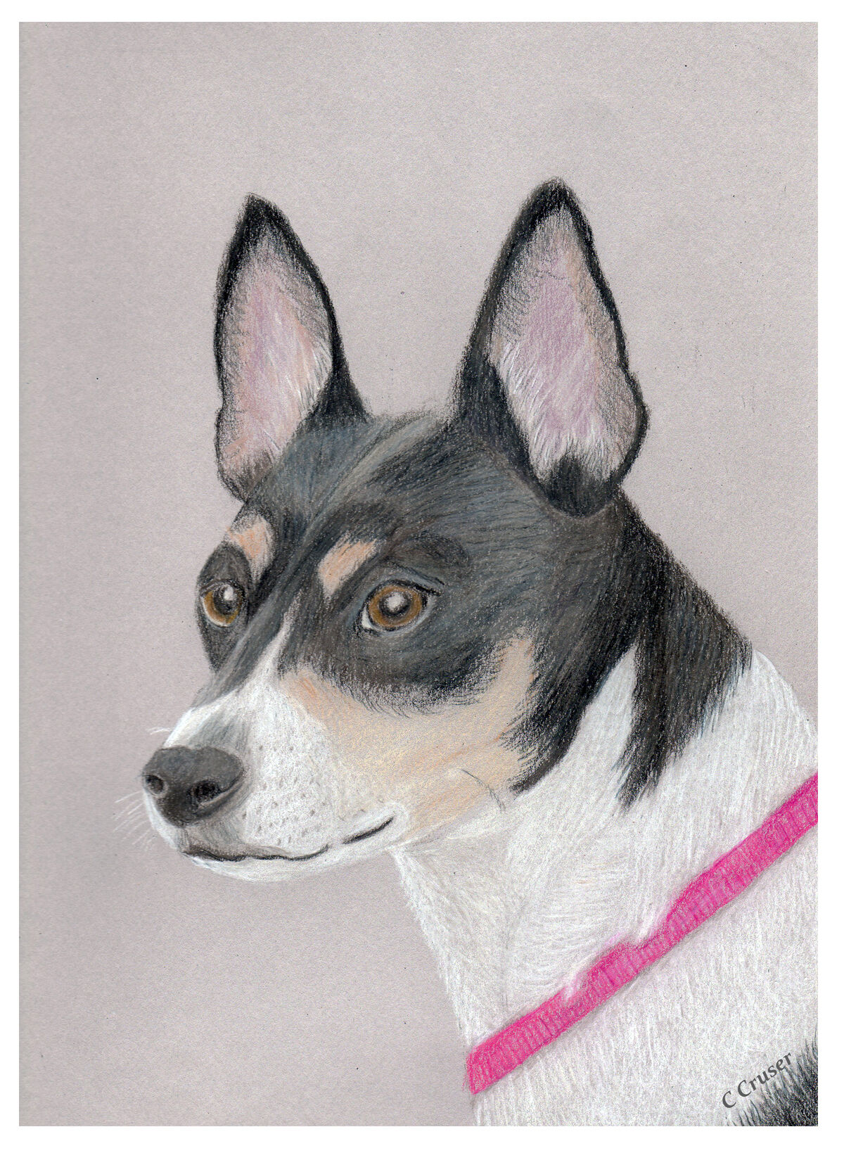 Rat Terrier Cruser