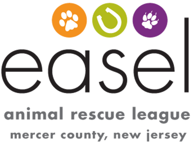 Mercer County Clerk’s Office makes donation to EASEL animal shelter