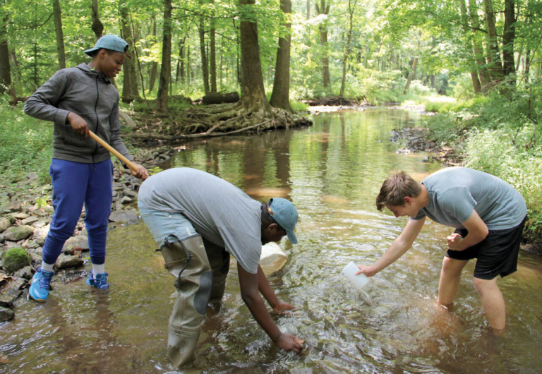 The Watershed Institute: Watershed Academy offers high school students field experience