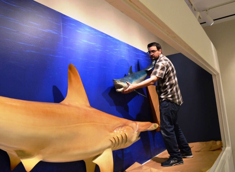 ‘Jaw-Dropping’ Exhibit Brings Sharks to NJSM