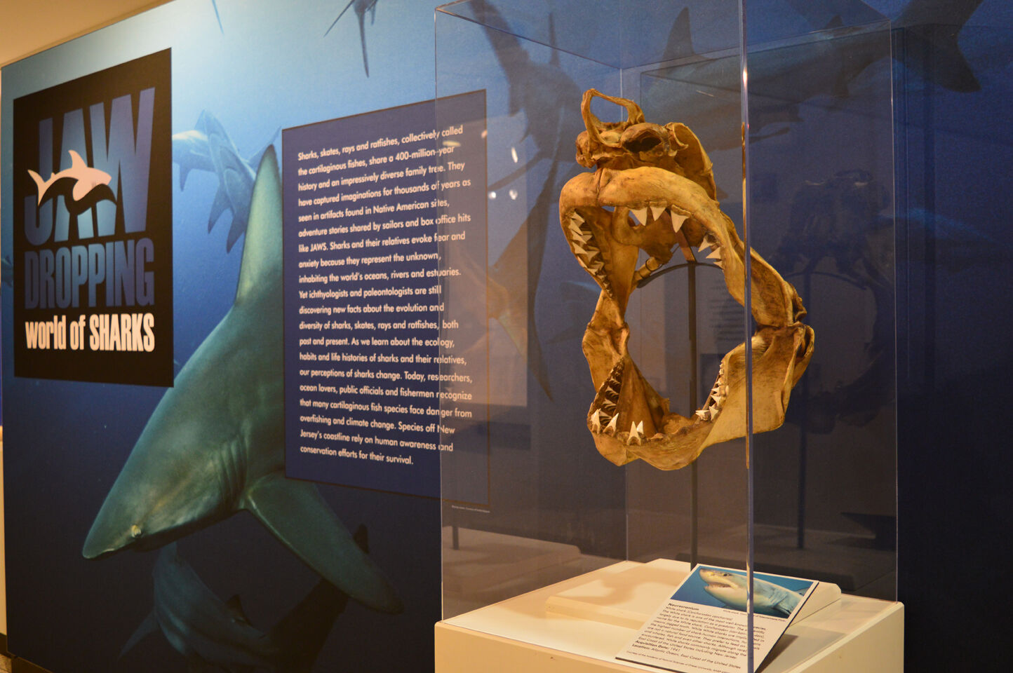 install pics 3.29.22 004.JPG