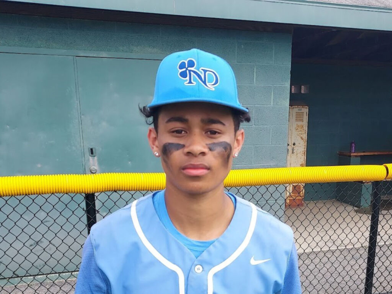 Palmer sets the table at leadoff for Notre Dame baseball