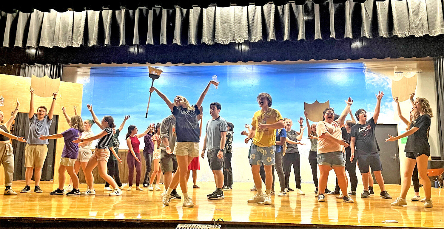 Once Upon a Mattress Steinert musical