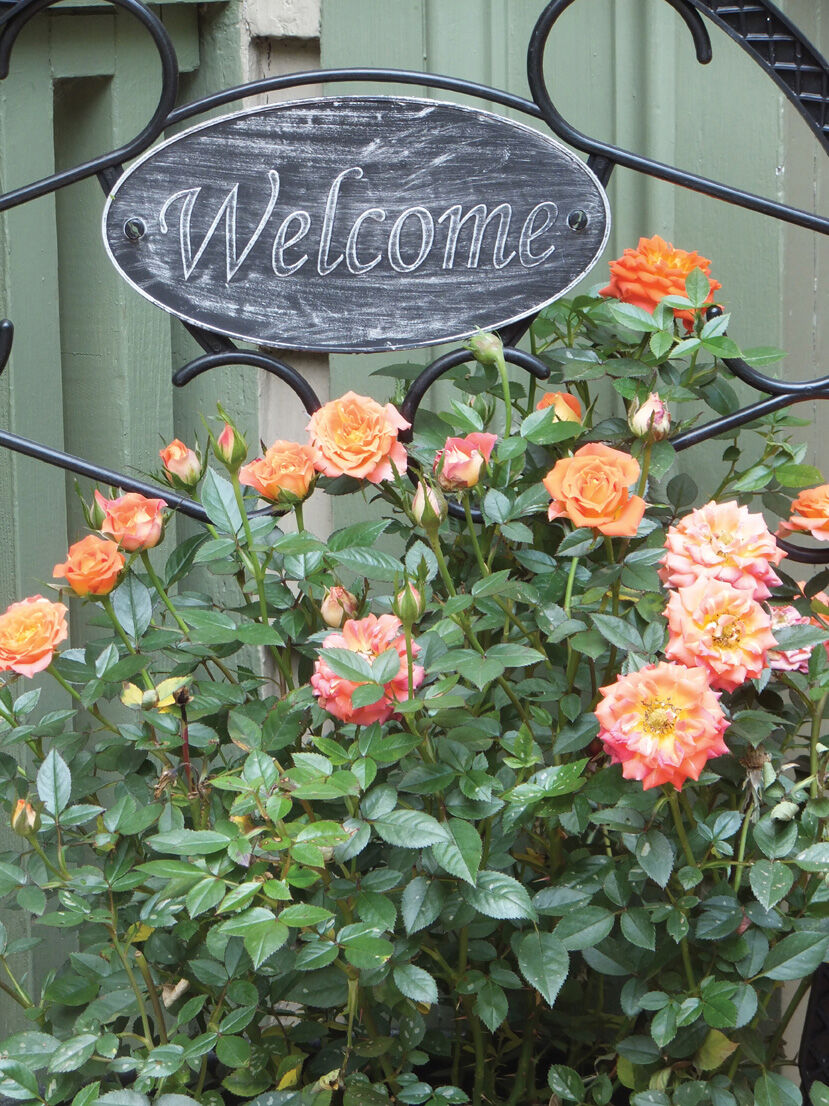 Mill Hill Garden Tour.jpg