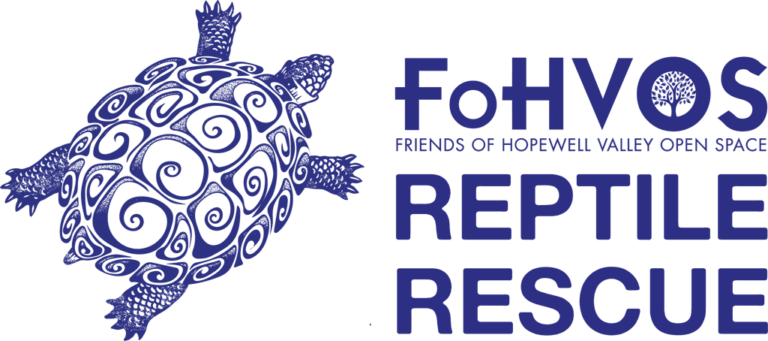 ‘Reptile Rescue’ aims to build on success of prior programs