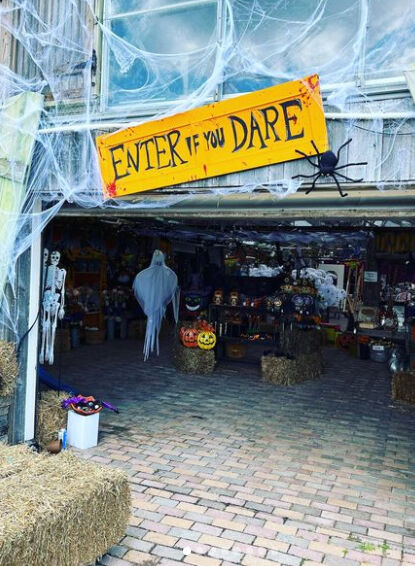 Dragonfly Farms Web 2.jpg