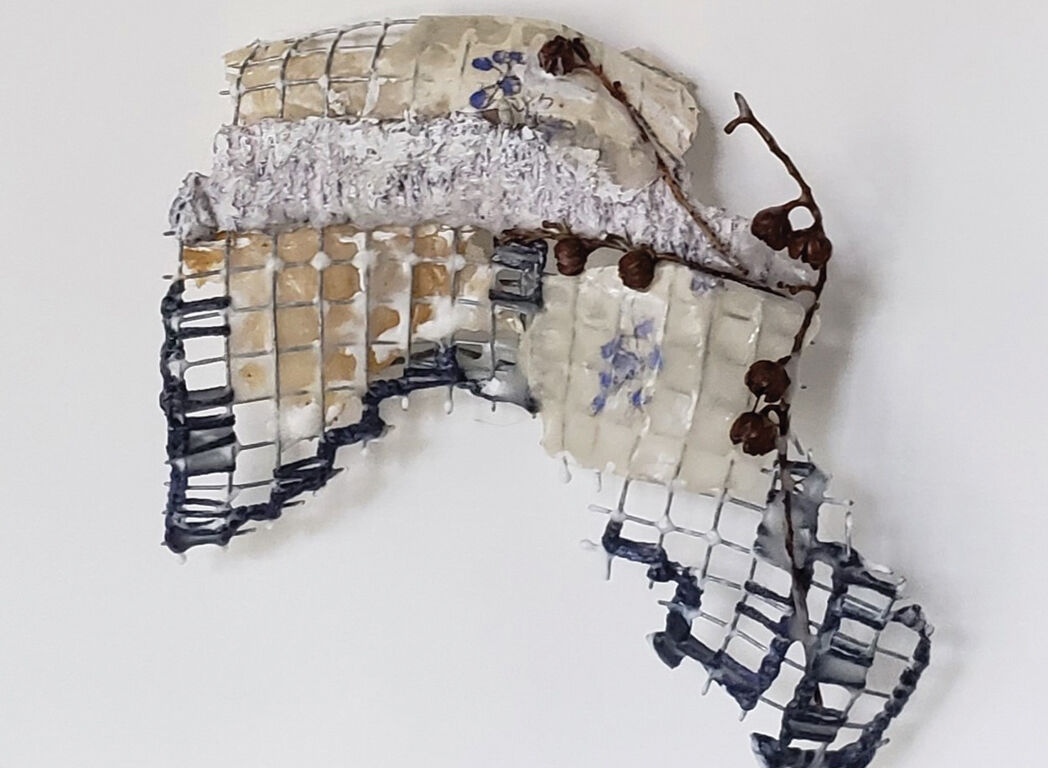 Terri Fraser Ek Saphed Haathee - White Elephant