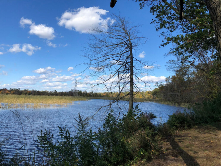 The Delaware River: A national success story