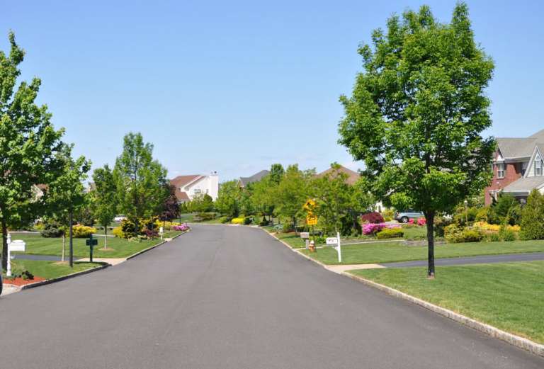 Hamilton’s free shade tree program still bearing fruit