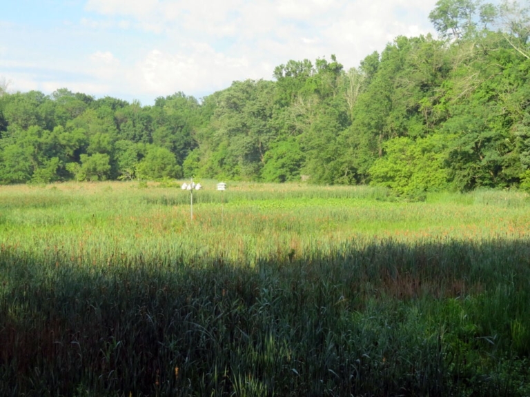 Welcome to a Birder’s Paradise — Minutes from Downtown Princeton