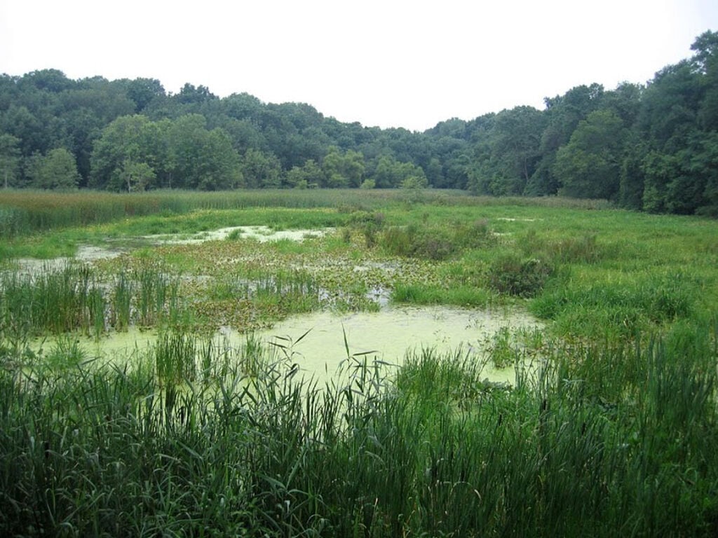 Rogers Refuge Sign.jpg