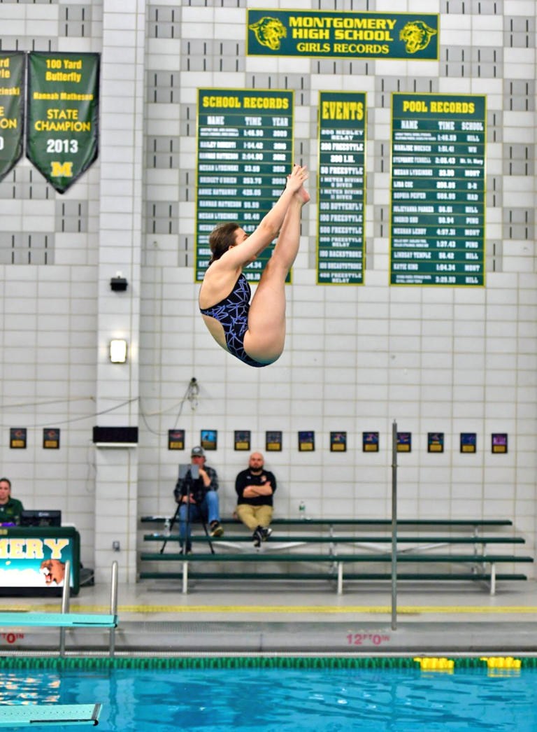 Notre Dame’s Williamson sets sights on state diving title