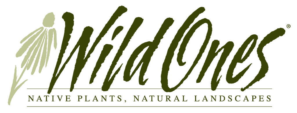 Wild Ones Logo.png