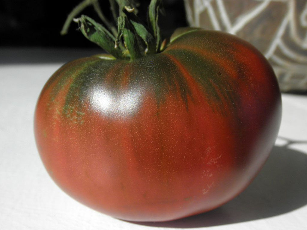 Paul Robeson Tomato - Credit to Julie Shaw - Dreamstime.com.jpg