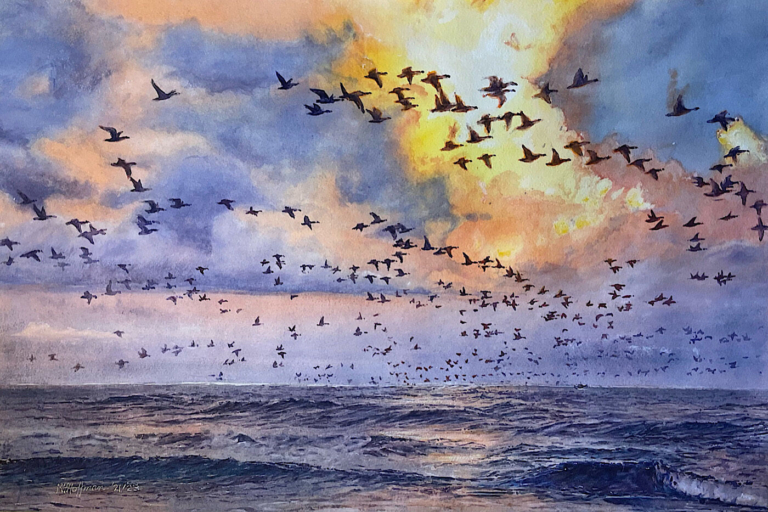 Summer Preview: A Cultural Season in Full Bloom