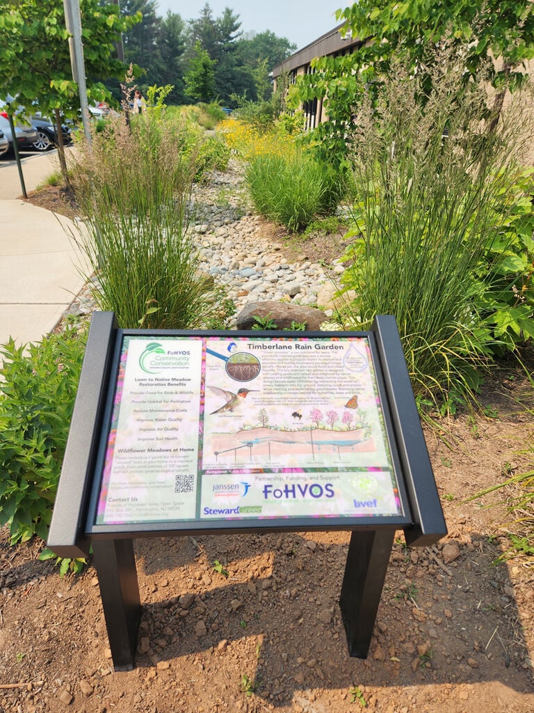Timberlane rain garden sign