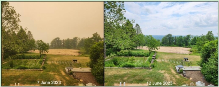 Coping with climate anxiety … and climate change itself