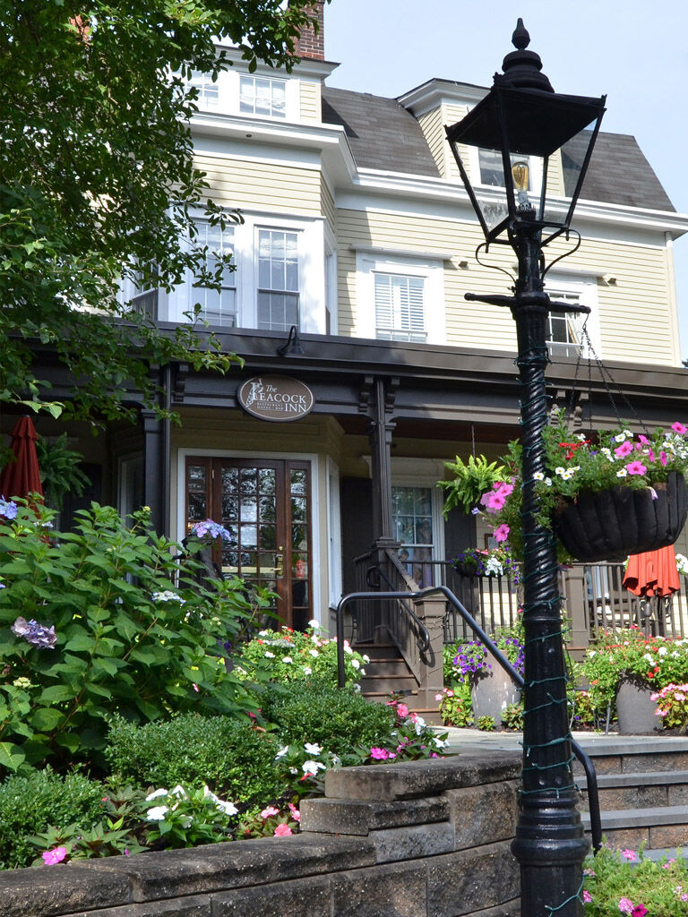 Perch at Peacock Inn.jpg