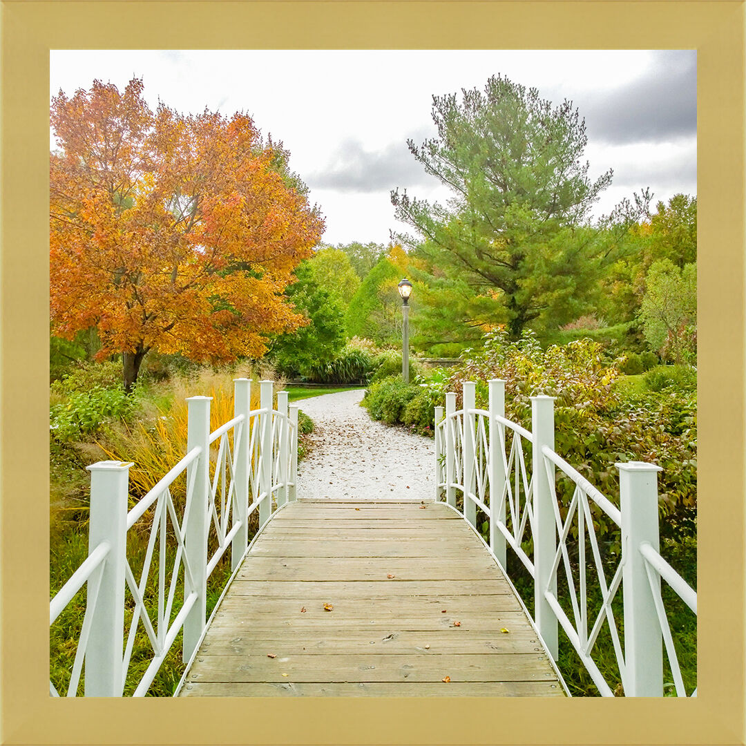 Strolling into Autumn Czismadia