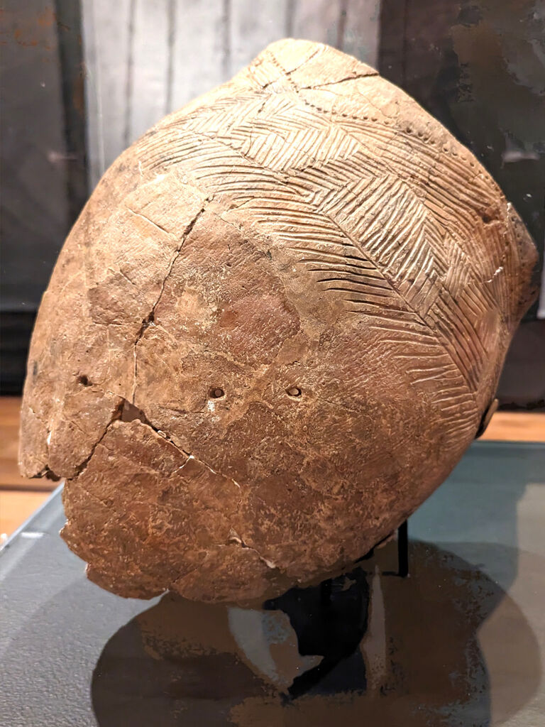 Holly Wilson's Bloodline - Section.jpg