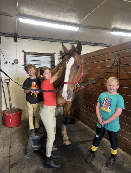 Duncraven Equestrian.jpg