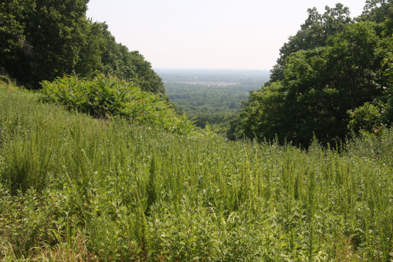 Hopewell Valley Come Outside and Play! starts June 5