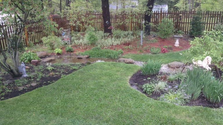Well, well, well: rain gardens growing in popularity