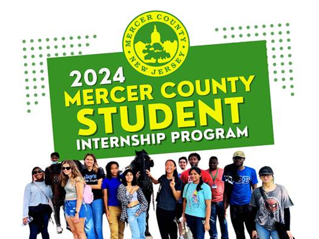 Mercer Student Intern program