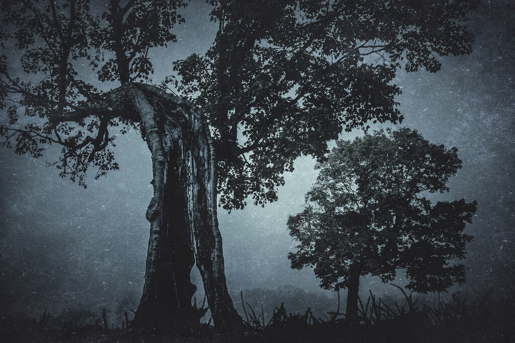 Sleepy Hollow Popinska